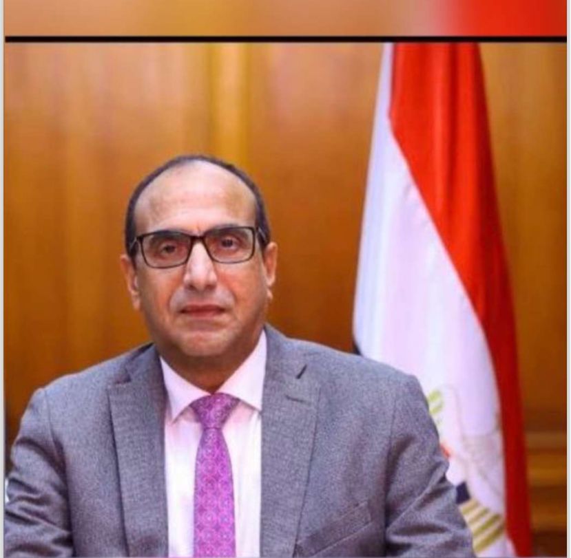 الدكتور محمد عبد الفضيل نائب رئيس مجلس الادارة للأعمال المصرفية ببنك ناصر الاجتماعي